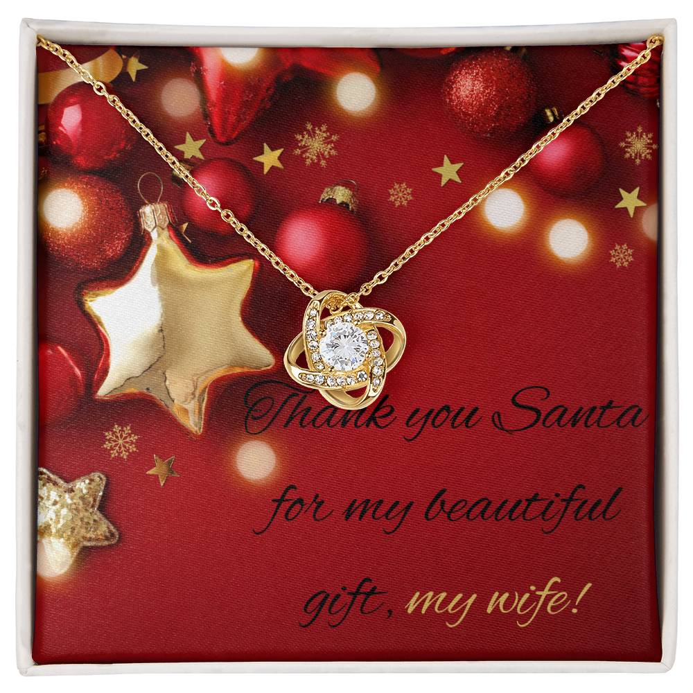 Thank you Santa