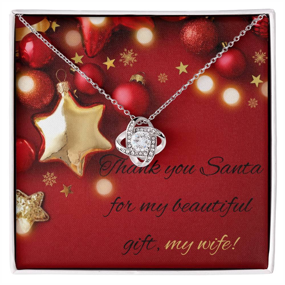 Thank you Santa